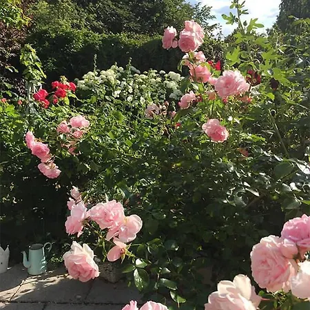 Unser Sommerhaus Timmendorfer Strand