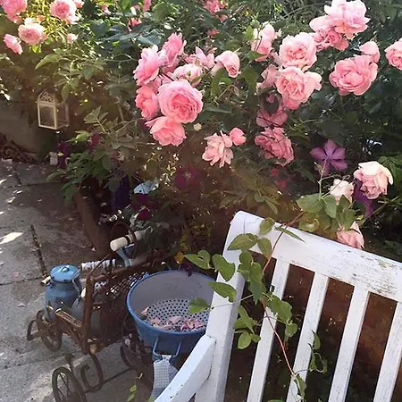 Unser Sommerhaus *