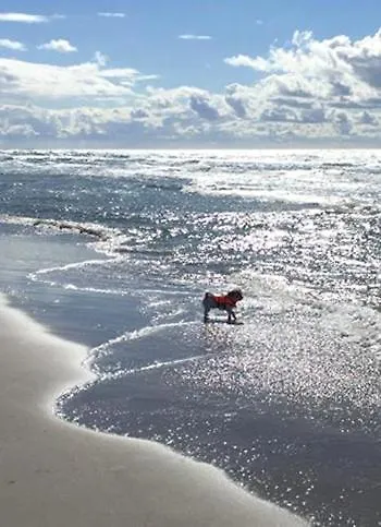 Unser Sommerhaus Ferienhaus Timmendorfer Strand