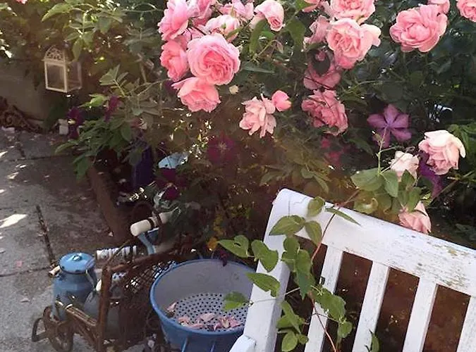 Unser Sommerhaus *